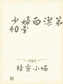 少妇白洁第1一40章