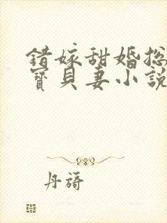 错嫁甜婚总裁的宝贝妻小说完整版