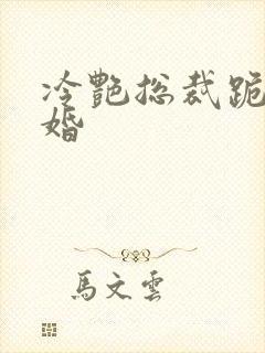 冷艳总裁跪求复婚