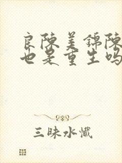 良陈美锦陈三爷也是重生吗封面