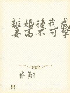 离婚后我成了前妻高不可攀的神