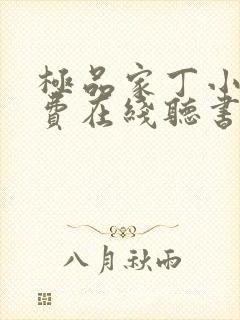 极品家丁小说免费在线听书封面