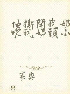 他撕开我奶罩揉吮我奶头小说