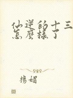 仙逆的十三最后怎么样了