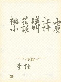 桃花映江山原著小说叫什么