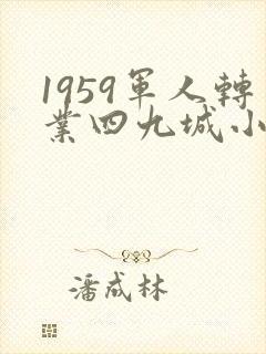 1959军人转业四九城小说