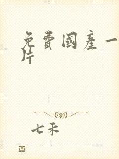 免费国产一级淫片