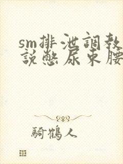 sm排泄调教小说憋尿束腰