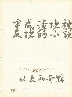 穿成渣攻被老婆反攻的小说