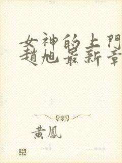 女神的上门豪婿赵旭最新章节