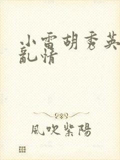 小雷胡秀英乡村乱情封面