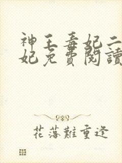 神王毒妃二嫁王妃免费阅读全文