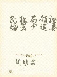 民政局领证,闪婚墨少追妻忙在线看