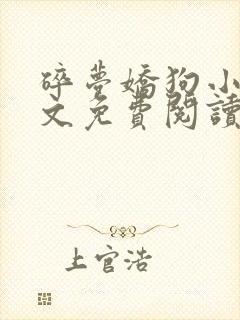 碎梦娇狗小说全文免费阅读封面