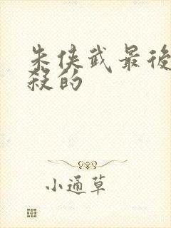 朱侠武最后被谁杀的