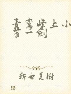 青鸾峰上小说我有一剑
