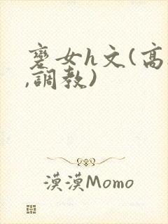 变女h文(高h,调教)