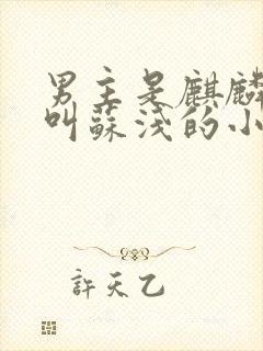 男主是麒麟女主叫苏浅的小说名字