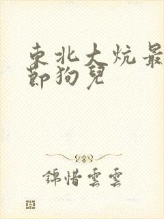 东北大炕最新章节狗儿