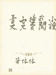 青山撞我小说全文免费阅读封面