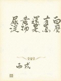 尿黄还有白色沉淀物是怎么回事封面