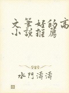 文笔好的高质量小说推荐封面