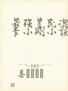 最强农民混都市李小刚小说