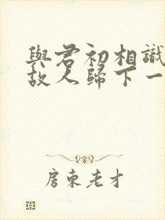 与君初相识恰似故人归下一句封面