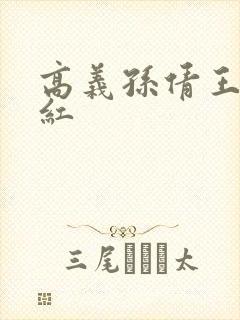 高义孙倩王申美红