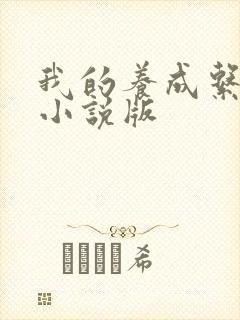 我的养成系女友小说版