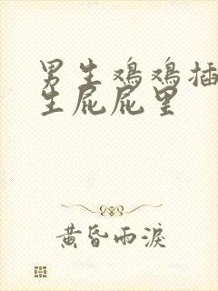 男生鸡鸡插进女生屁屁里