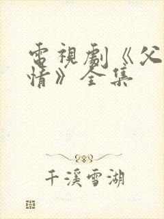 电视剧《父母爱情》全集