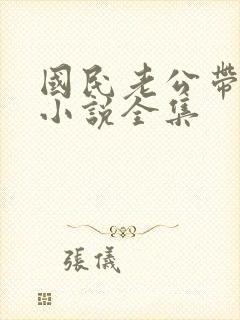 国民老公带回家小说全集