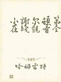 小谢尔顿第一季在线观看全集免费