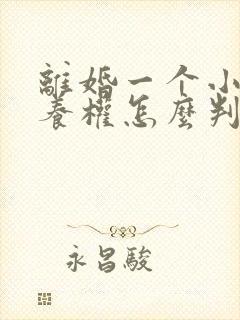 离婚一个小孩抚养权怎么判