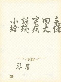 小说穿回来后嫁给残疾大佬