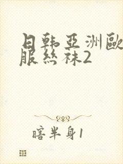 日韩亚洲欧美制服丝袜2