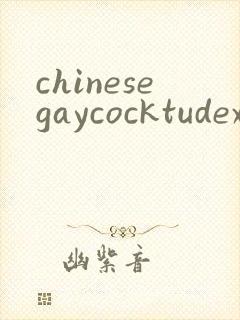chinesegaycocktudexxx