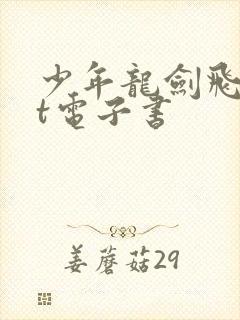 少年龙剑飞txt电子书