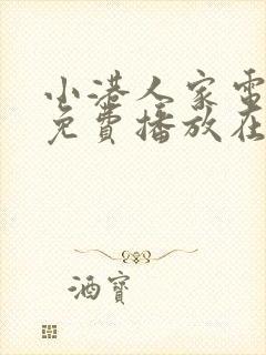 小港人家电视剧免费播放在线观看全集