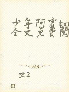 少年阿宾txt全文免费阅读