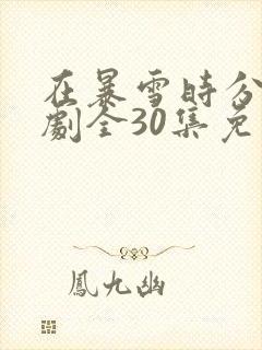在暴雪时分电视剧全30集免费观看