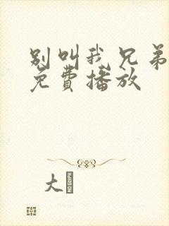 别叫我兄弟在线免费播放封面