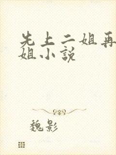 先上二姐再上大姐小说