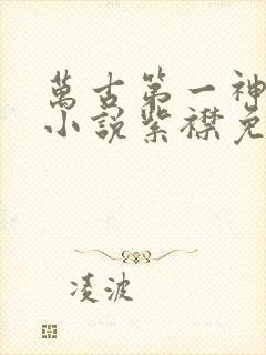 万古第一神有声小说紫襟免费