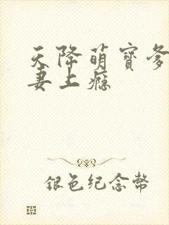 天降萌宝爹地宠妻上瘾