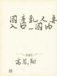 国产乱人妻精品入口_国内