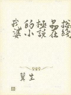 我的极品总裁老婆小说在线阅读