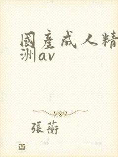 国产成人精品亚洲av