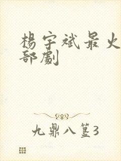 杨宇斌最火的三部剧